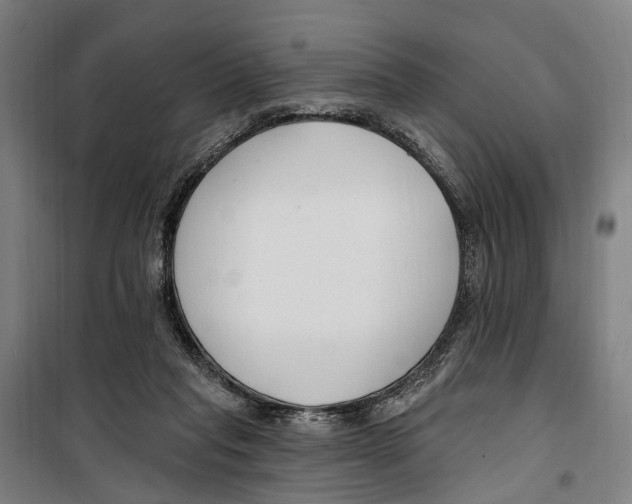 X0000099520261200806121508