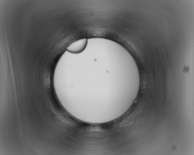 X0000099520262200806121508