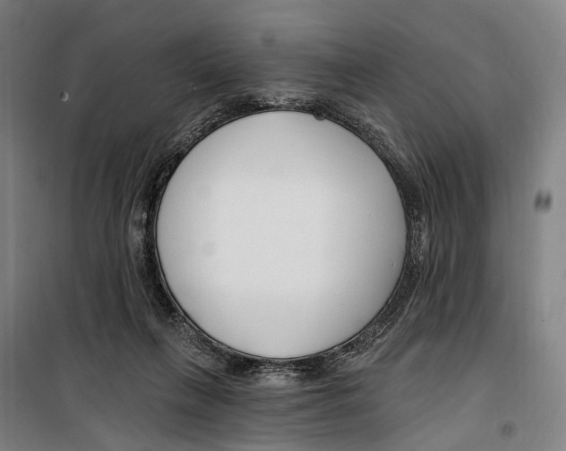 X0000099520263200806121508