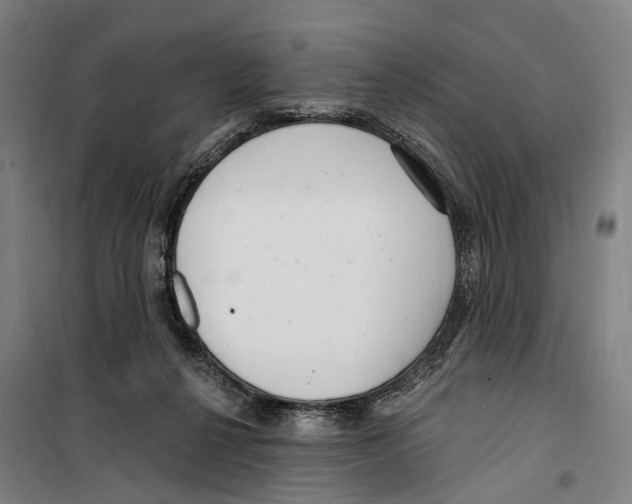 X0000099520264200806121508