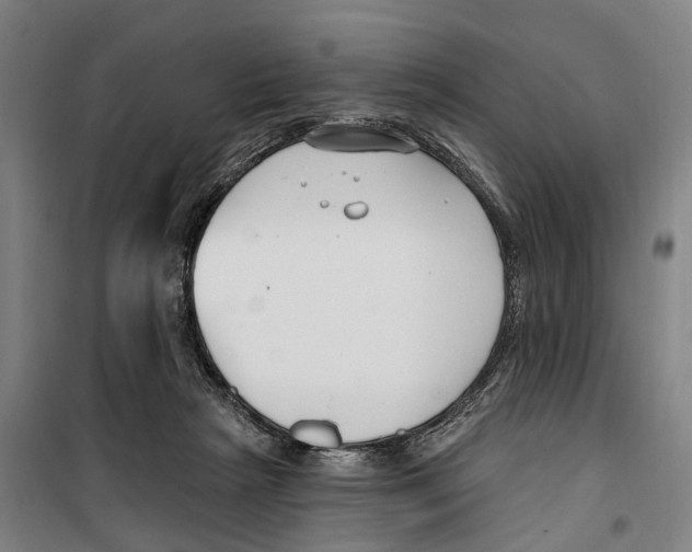 X0000099520265200806121508