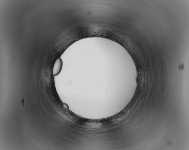 X0000099520266200806121508