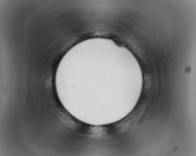 X0000099520269200806121508