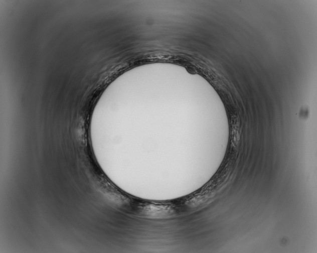 X0000099520270200806121509