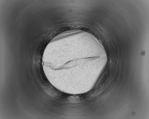 X0000099520271200806121509