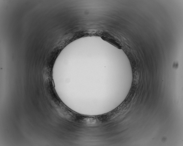 X0000099520272200806121509