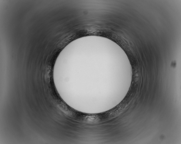 X0000099520275200806121509