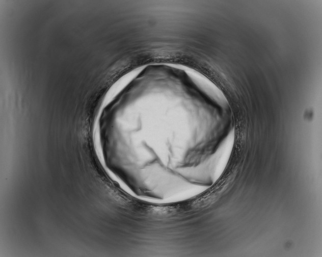 X0000099520277200806121509