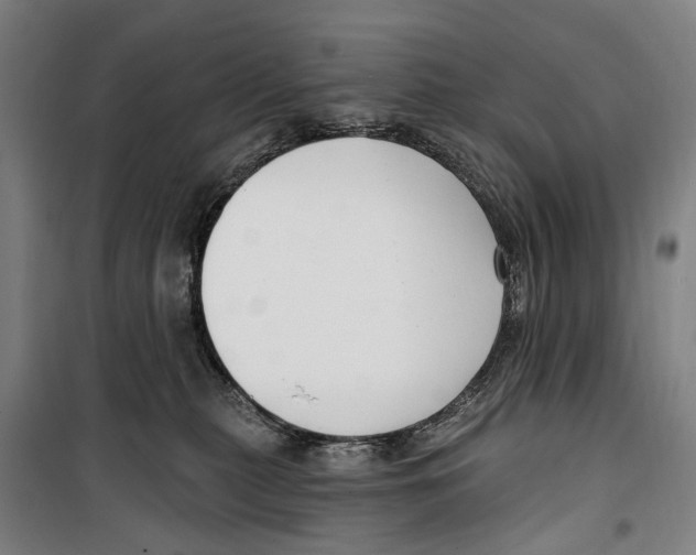 X0000099520279200806121509