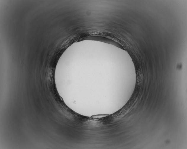 X0000099520280200806121509