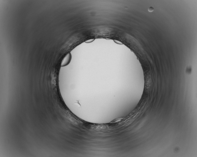 X0000099520282200806121509