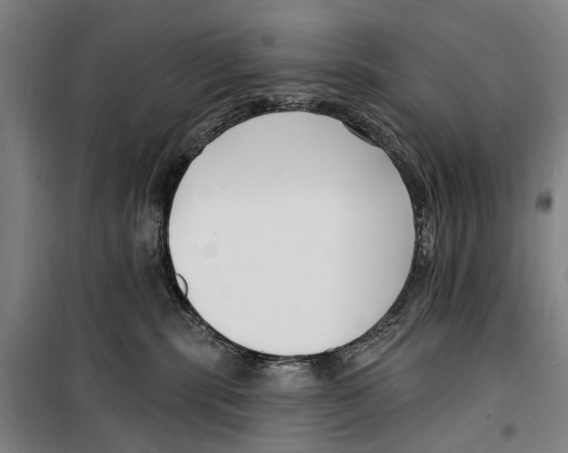 X0000099520283200806121509