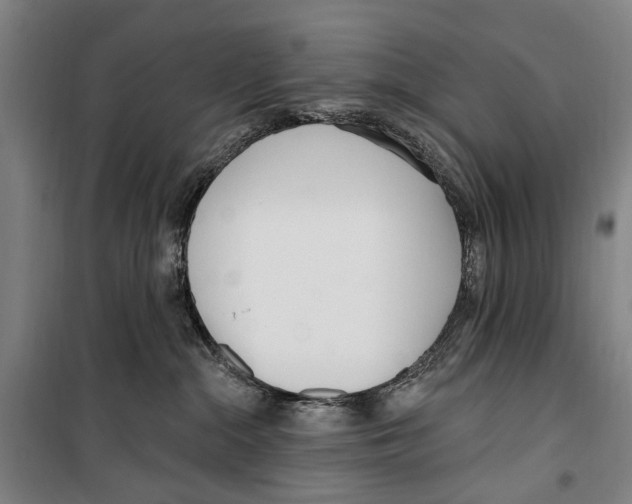 X0000099520284200806121509