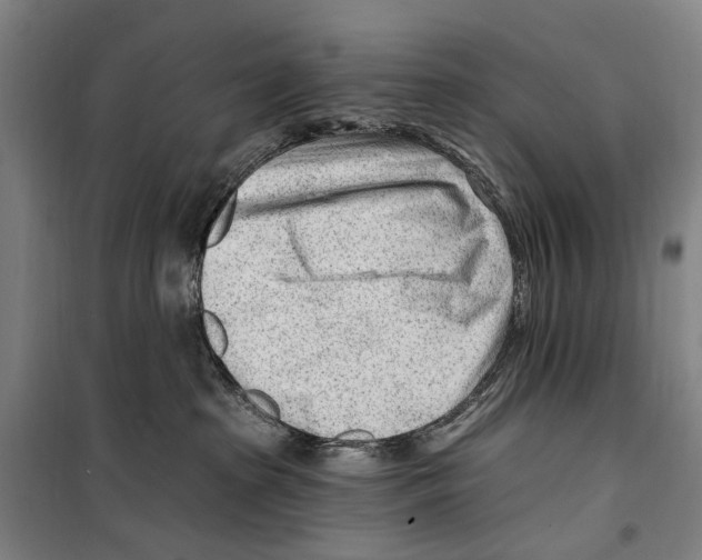 X0000099520285200806121509