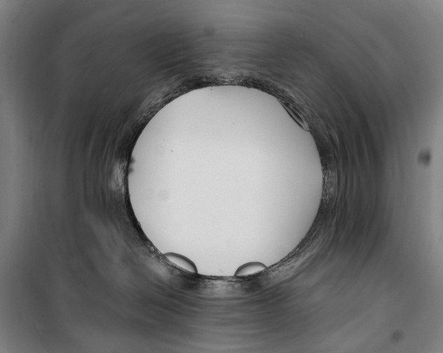 X0000099520286200806121509