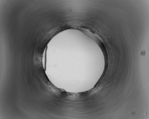 X0000099520288200806121509