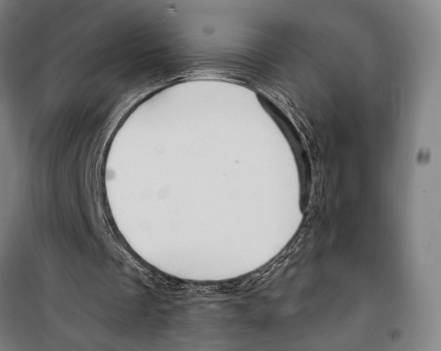 X0000099520289200806121508