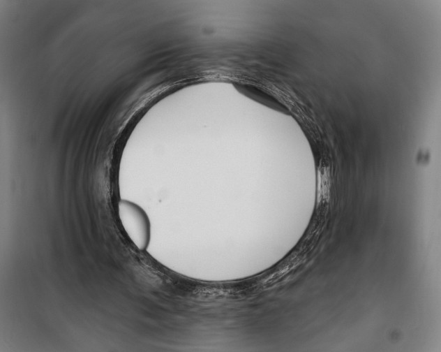 X0000099520291200806121508