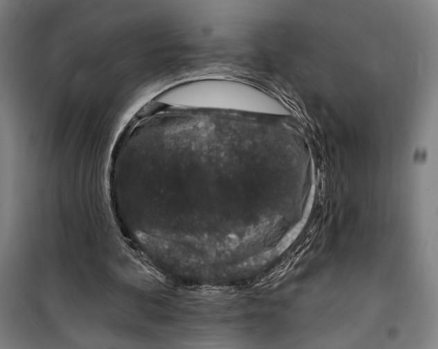 X0000099520292200806121508