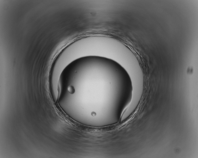 X0000099520293200806121508