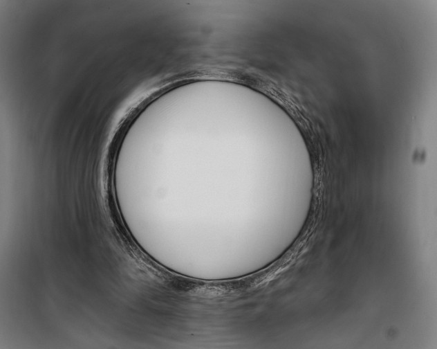 X0000099520294200806121508