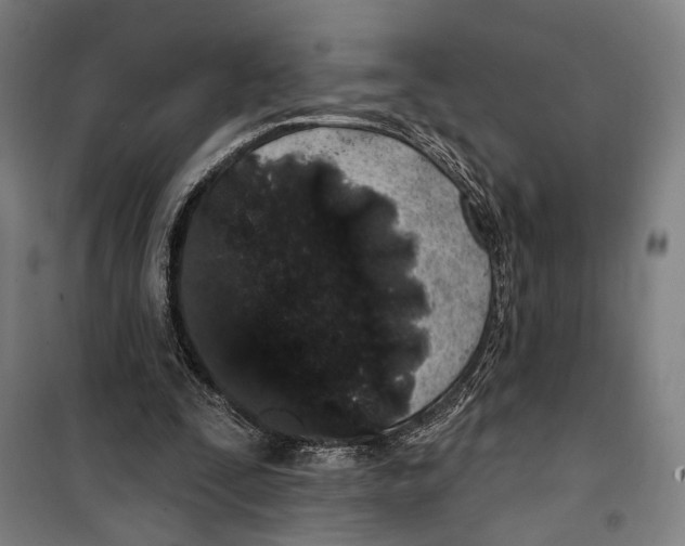 X0000099520295200806121508