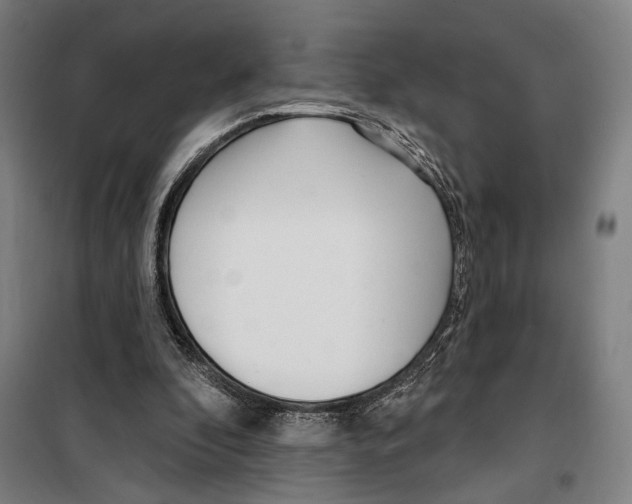 X0000099520296200806121508