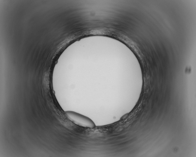 X0000099520297200806121508