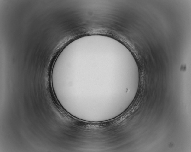 X0000099520298200806121508