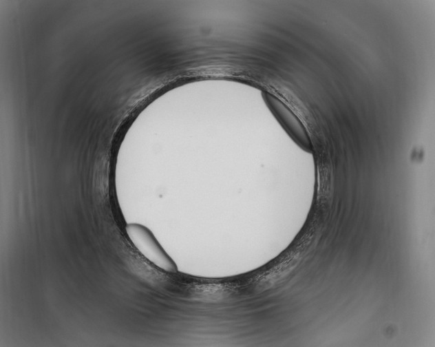 X0000099520301200806121508