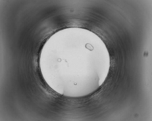 X0000099520302200806121508