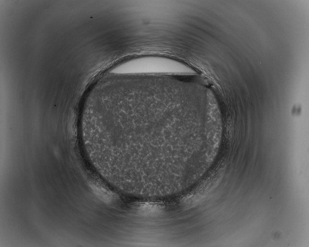 X0000099520303200806121508