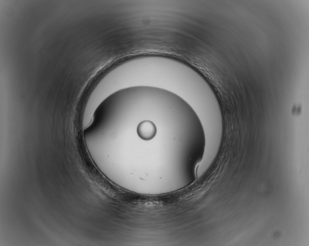 X0000099520304200806121508