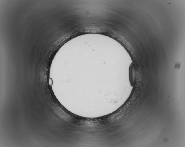 X0000099520305200806121508