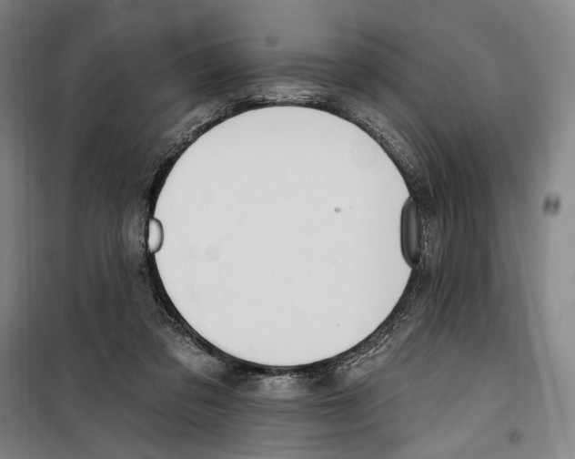 X0000099520309200806121508