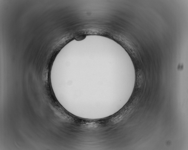 X0000099520310200806121508