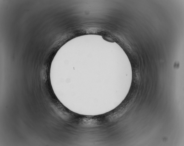 X0000099520311200806121508