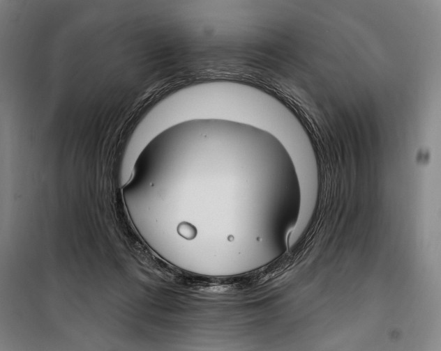 X0000099520312200806121508