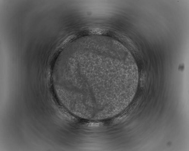 X0000099520314200806121508