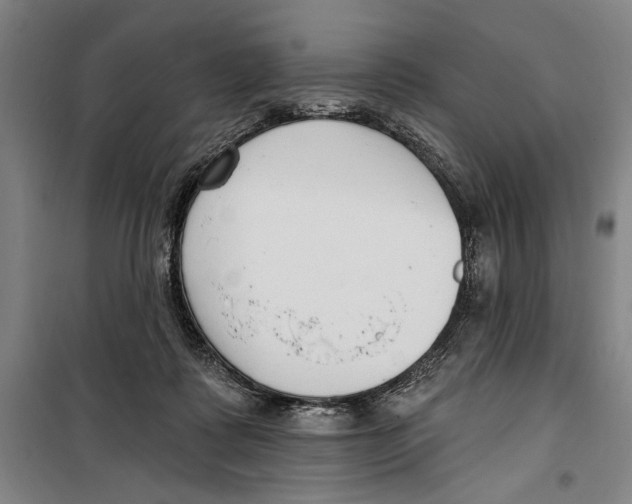 X0000099520315200806121508