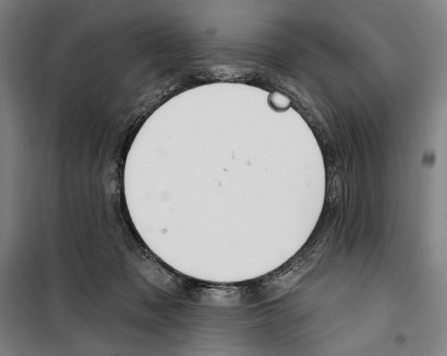 X0000099520317200806121508