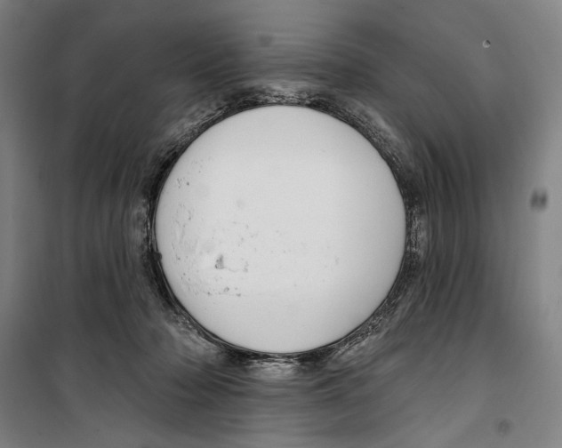 X0000099520318200806121508