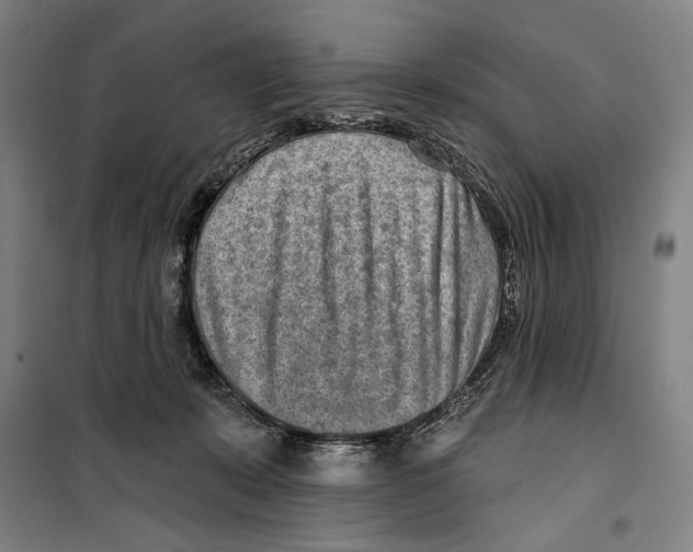 X0000099520319200806121507