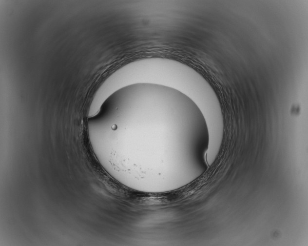 X0000099520320200806121507