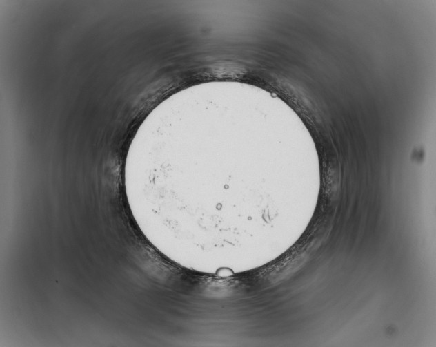 X0000099520321200806121507