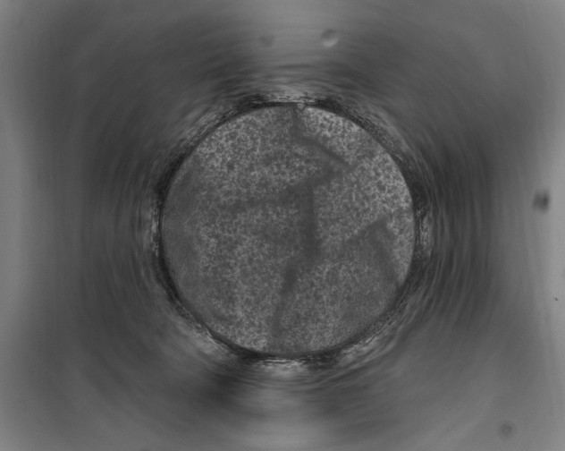 X0000099520322200806121507