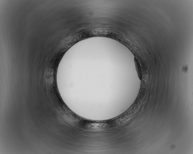 X0000099520323200806121507