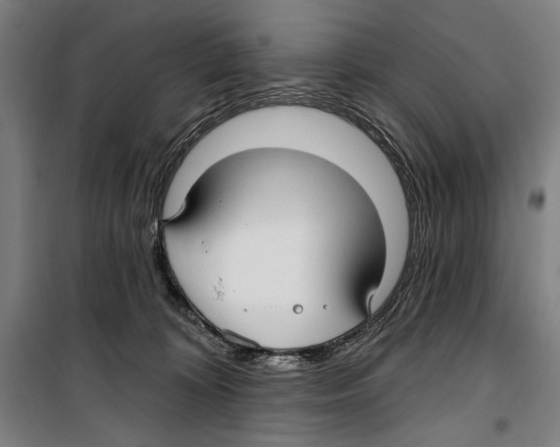 X0000099520324200806121507