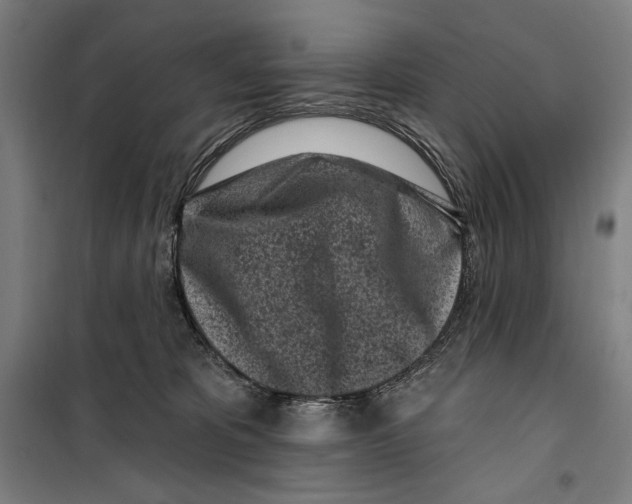 X0000099520325200806121507