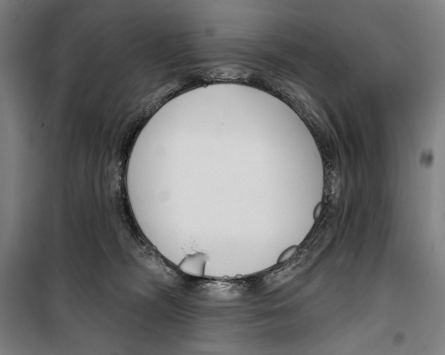 X0000099520326200806121507